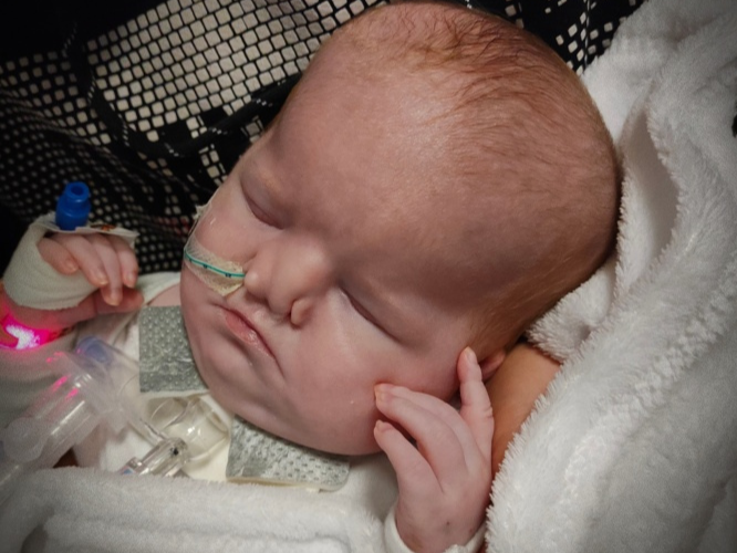 Lena Wójcik - main photo