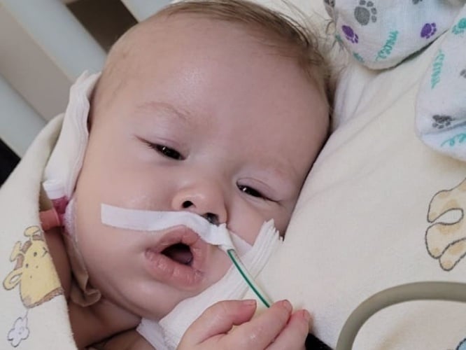 Olafek Rogowski - main photo