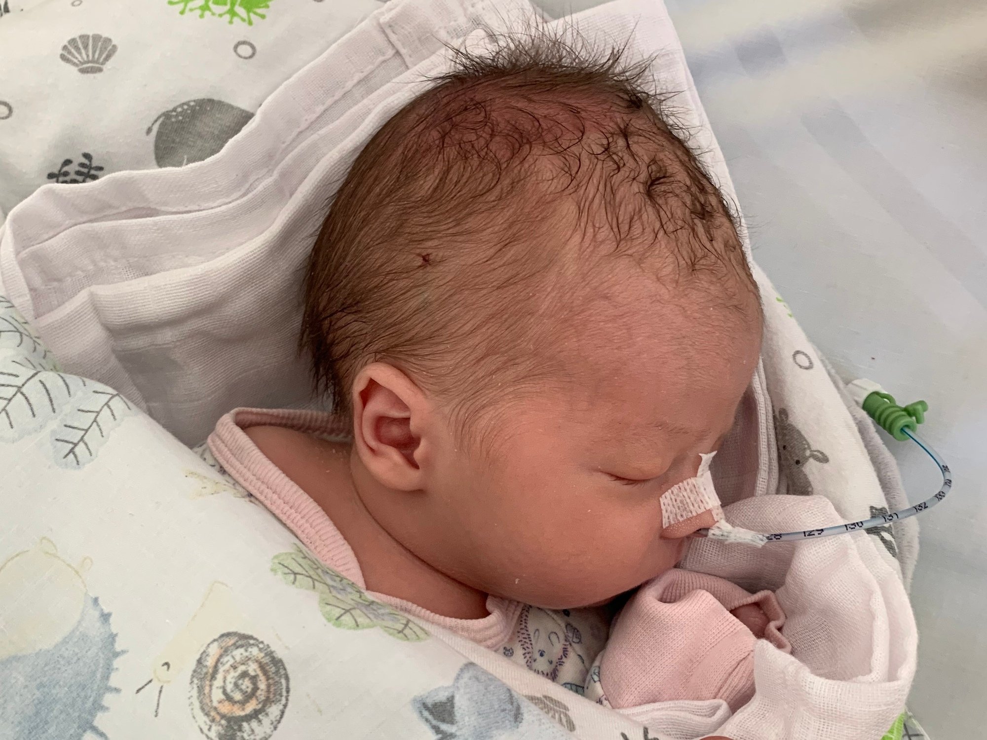 Dominik Olszewski - zdjęcie główne