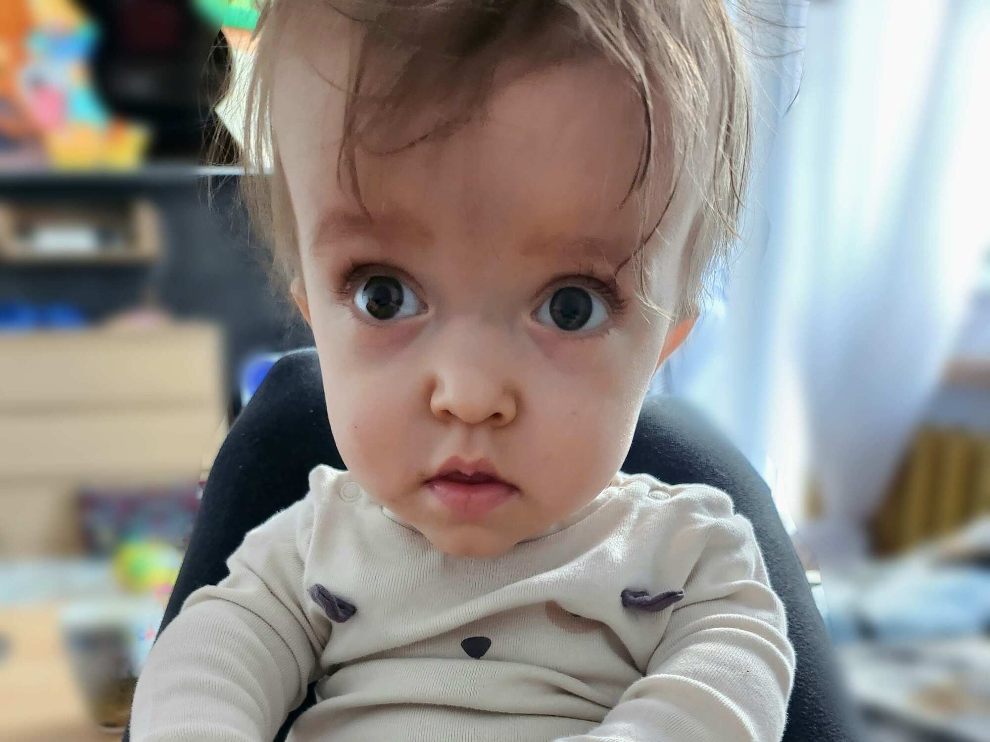 Leoś Pasowiec - main photo