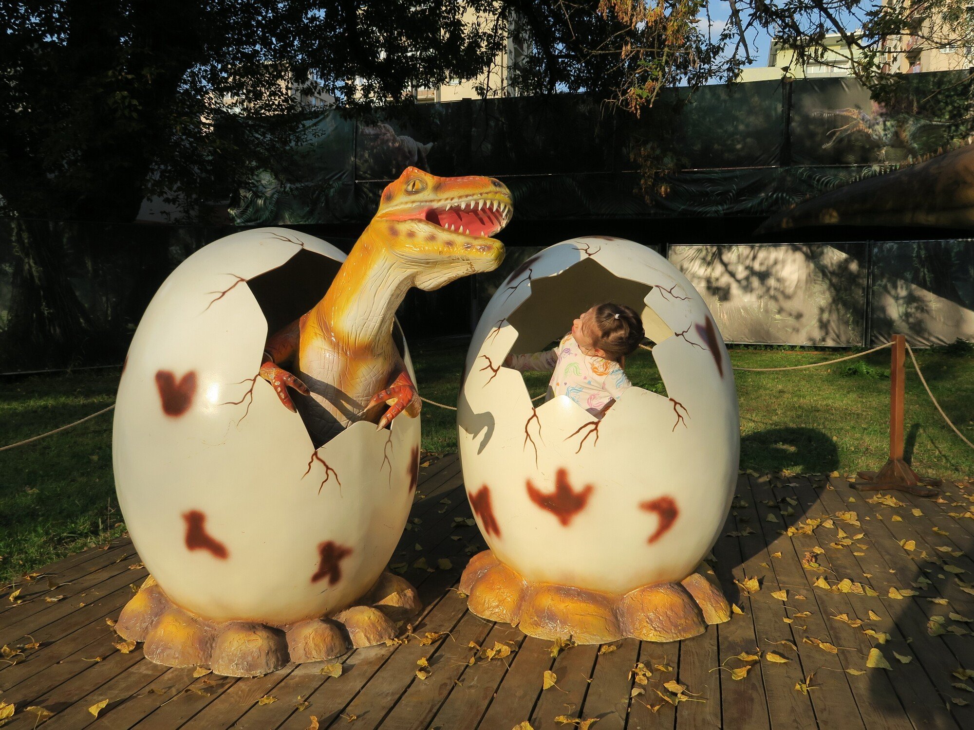 Ania Włodarczyk - zdjęcie główne