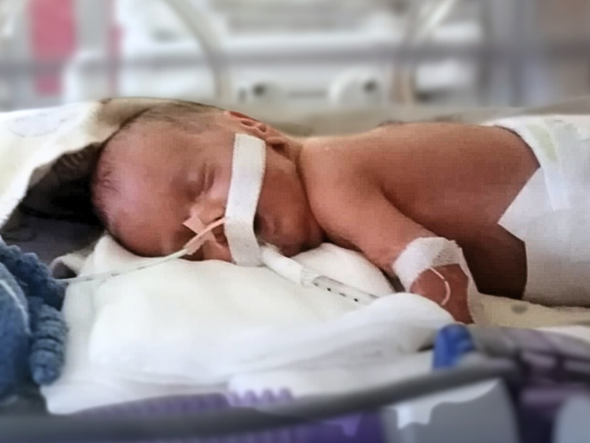 Nikodem Wesoły - zdjęcie główne