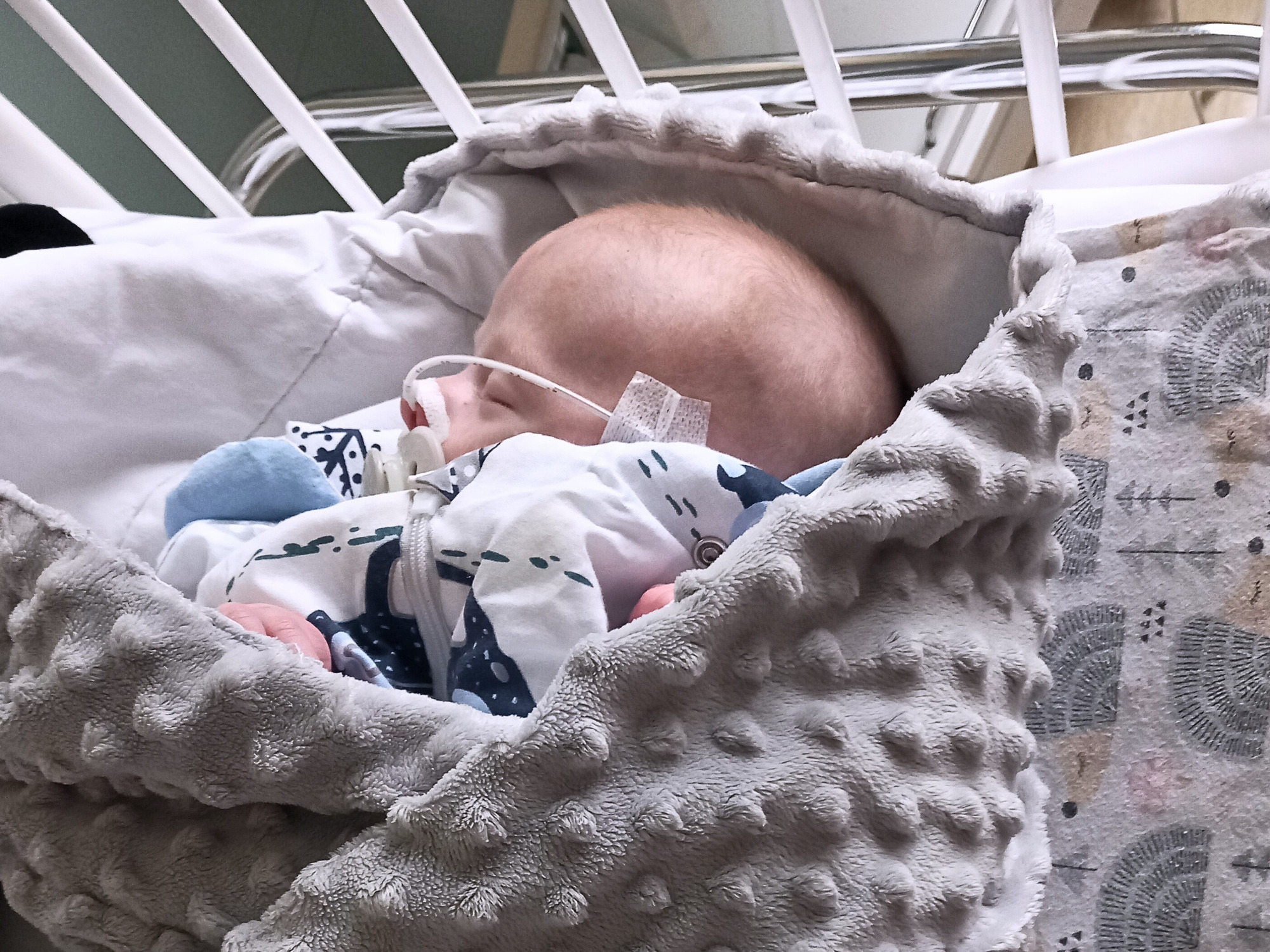 Kacper Solarski - zdjęcie główne