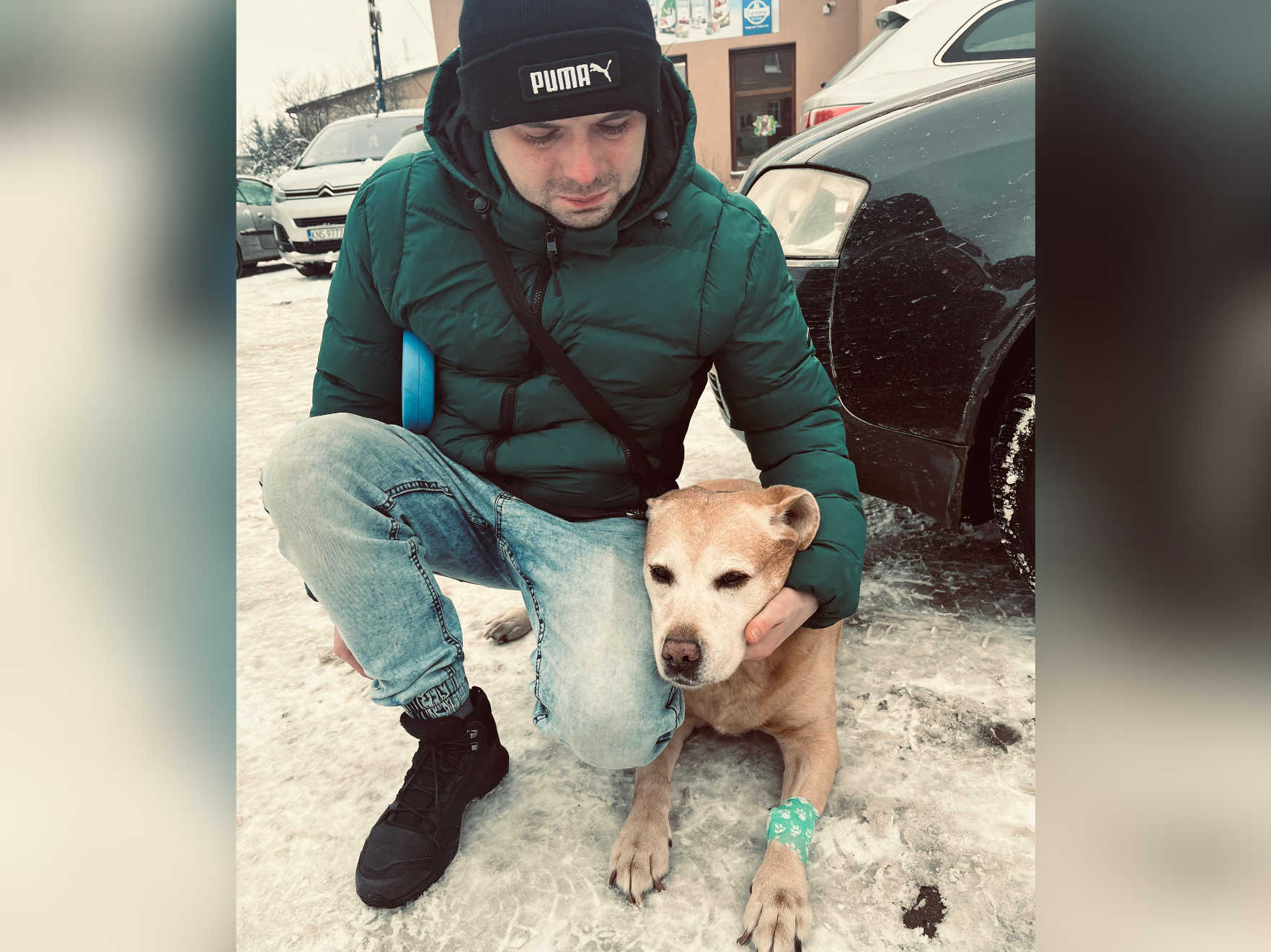 Piotr Stępień - zdjęcie główne