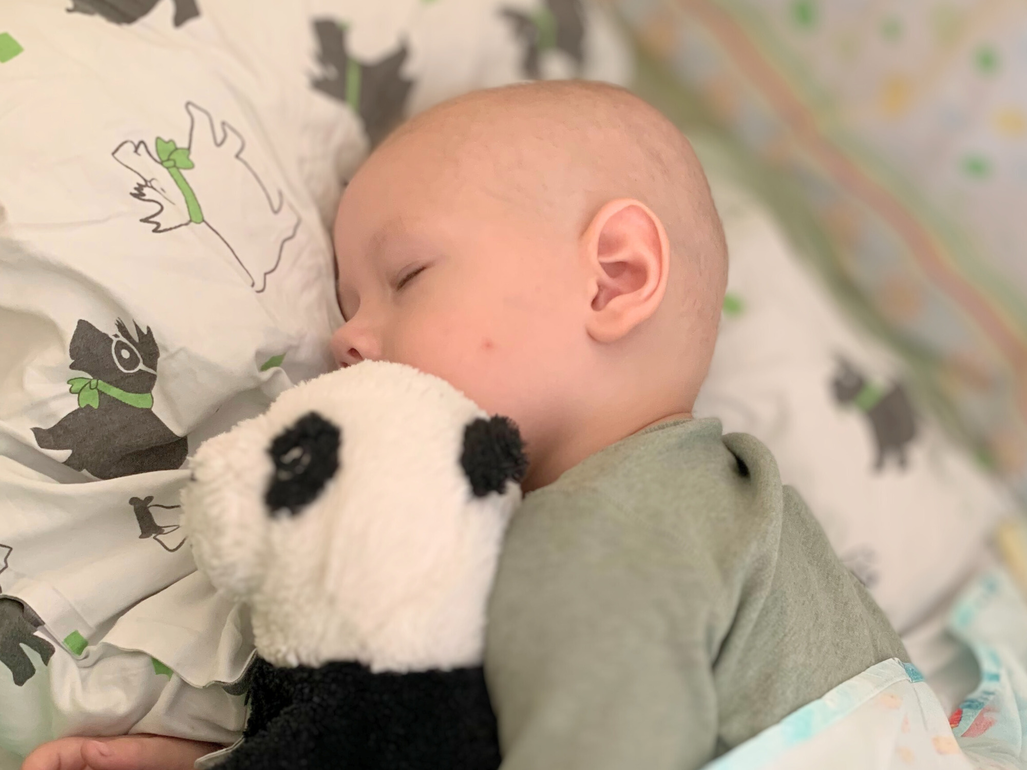 Krzyś Jasnos - main photo