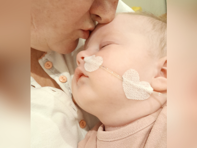 Celinka Koral - zdjęcie główne