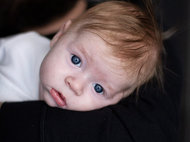 Leoś Zbroja - main photo