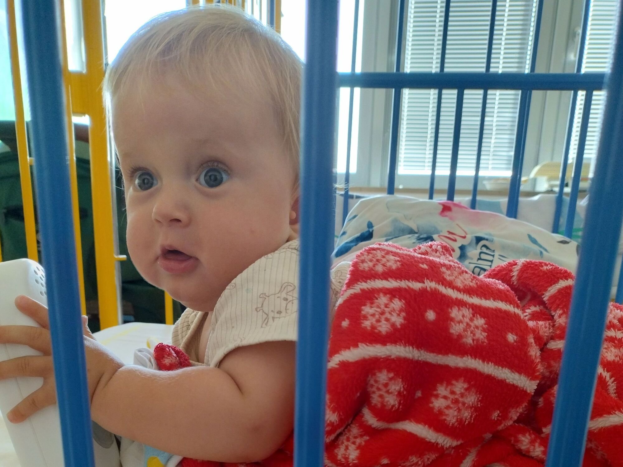 Ignacy Szajna - zdjęcie główne