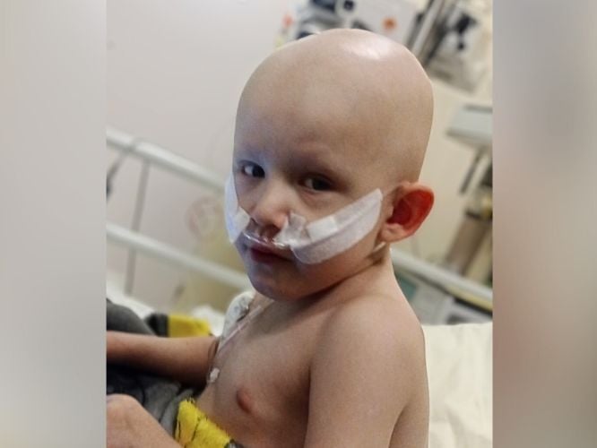 Kacper Hryniewicz - zdjęcie główne