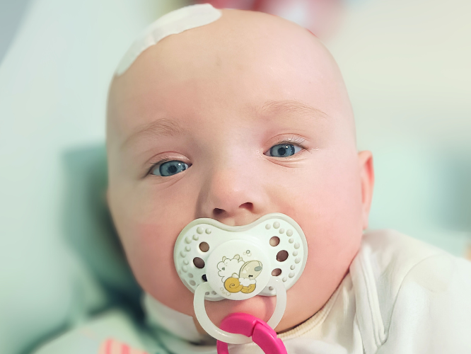 Róża Weryńska - zdjęcie główne