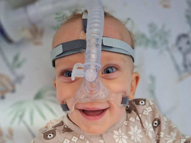 Leoś Majeryk - zdjęcie główne