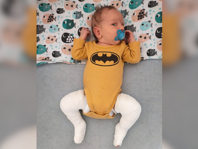 Franciszek Stachowicz - main photo