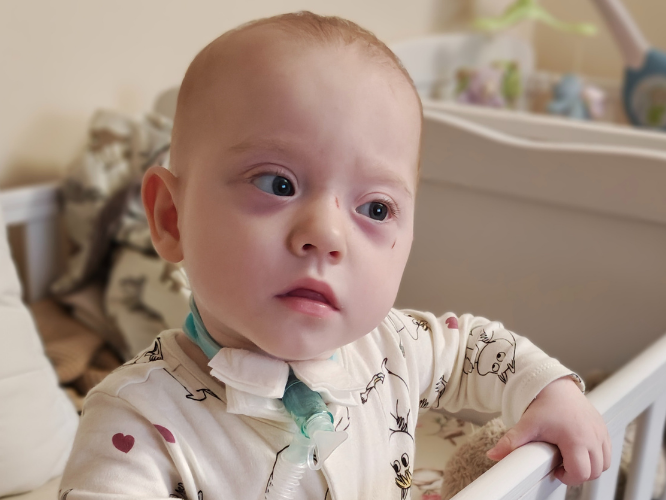 Alicja Wilk - main photo