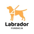 Labrador Pies Przewodnik - logo