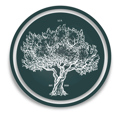 LC Foundation - logo