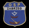 Ochotnicza Straż Pożarna w Zabrzegu - logo