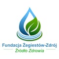 Fundacja Żegiestów-Zdrój Źródło Zdrowia - logo