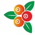 KOŁO GOSPODYŃ WIEJSKICH "RADŁOWIANKI" W RADŁOWIE - logo