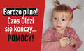 Organizer's avatar