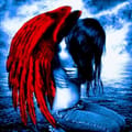 Organizer's avatar