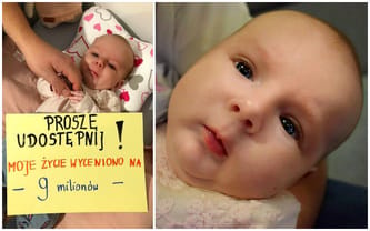 Tosia Wiśniewska