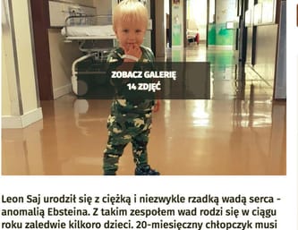 Leoś Saj
