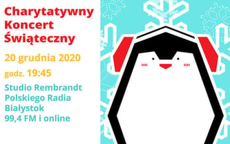 Charytatywny Pingwin