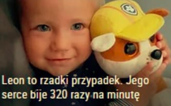 Leoś Saj