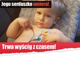 Leoś Saj