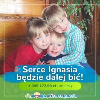 Ignacy Rapacz