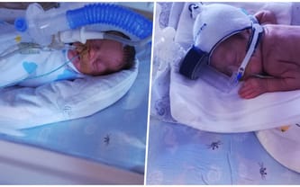 Zofia Walter