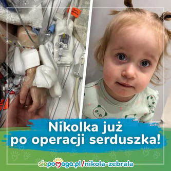 Nikola Zebrala