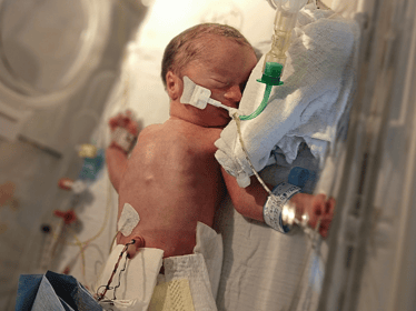Łucja Kononowicz-Gwara - zdjęcie główne
