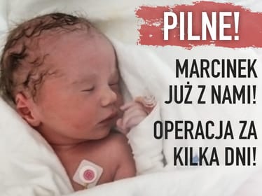 Marcin Poliszuk - zdjęcie główne