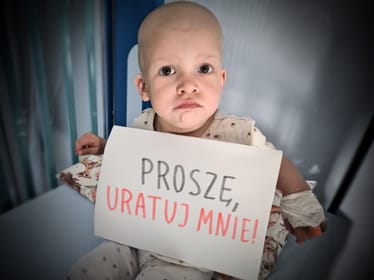 Gaja Chutko - zdjęcie główne