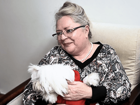 Dorota - zdjęcie główne