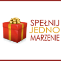 Fundacja Spełnij Jedno Marzenie - logo