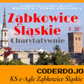 Fundacja WIP Ząbkowice Śląskie - logo