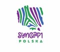 Stowarzyszenie na&nbsp;rzecz Dzieci i&nbsp;Dorosłych z&nbsp;SYNGAP1&nbsp;i&nbsp;Innymi Chorobami Rzadkimi Razem dla&nbsp;SYNGAP1&nbsp;- logo