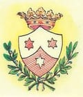 Zgromadzenie sióstr Karmelitanek Instytut Naszej Pani z Karmelu - logo