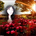 Organizer's avatar