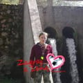 Organizer's avatar