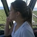 Avatar organizatora
