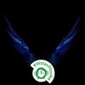 Organizer's avatar