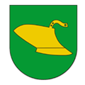 Avatar organizatora