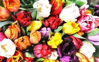 Alexandra Beata Belgacem