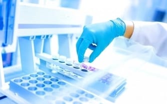 Paulina Błażejewska