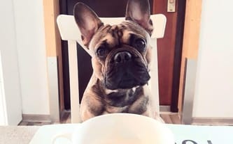 Magda Ganowska-Kuczak