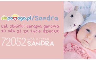 Puzzle Hostel Poznań