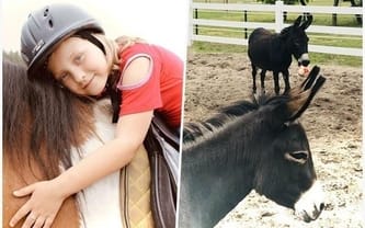 Grodziskowa Osada Radości